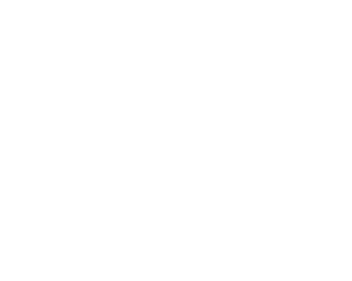 Wiper Inspection